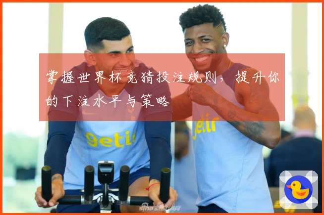 掌握世界杯竞猜投注规则，提升你的下注水平与策略