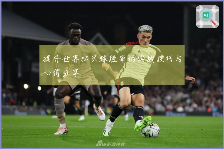 提升世界杯买球胜率的实战技巧与心得分享