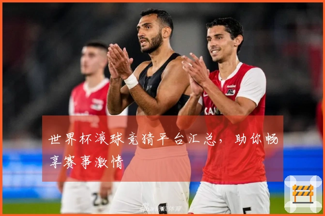 世界杯滚球竞猜平台汇总，助你畅享赛事激情