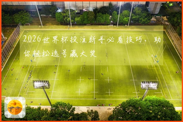 2026世界杯投注新手必看技巧，助你轻松选号赢大奖