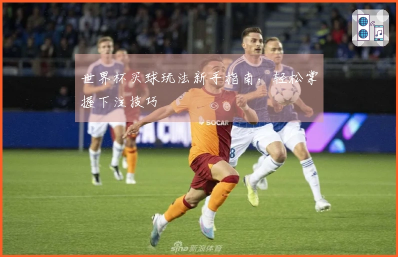 世界杯买球玩法新手指南，轻松掌握下注技巧