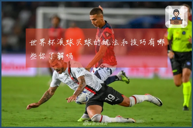 世界杯滚球买球的玩法和技巧有哪些你了解吗