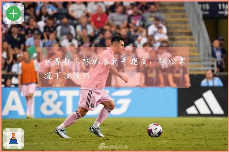 世界杯买球玩法新手指南，轻松掌握下注技巧