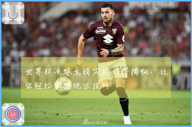 世界杯滚球竞猜实战心得揭秘，让你轻松掌握玩法技巧