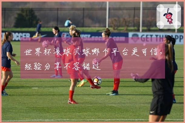 世界杯滚球买球哪个平台更可信，经验分享不容错过