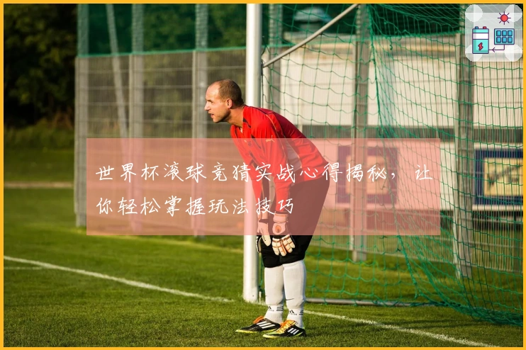 世界杯滚球竞猜实战心得揭秘，让你轻松掌握玩法技巧