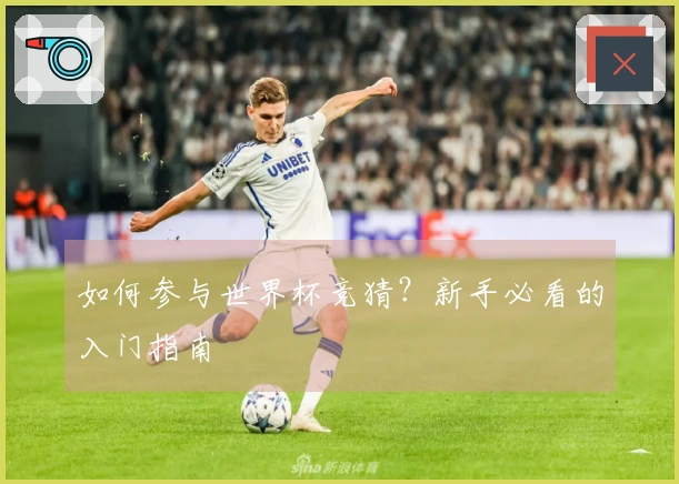 如何参与世界杯竞猜？新手必看的入门指南