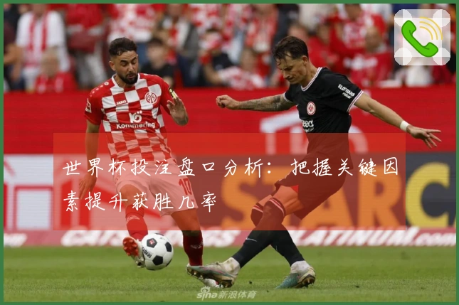 世界杯投注盘口分析：把握关键因素提升获胜几率