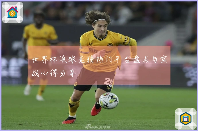 世界杯滚球竞猜热门平台盘点与实战心得分享